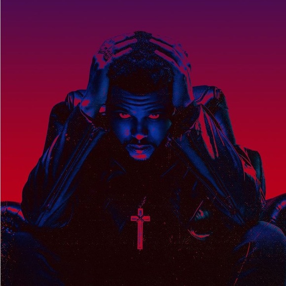 Meet your Posher, Sol - Picture 2 of 2